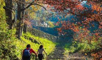 周六9.2徒步绍兴的小西藏、小武功山：五百岗，探索云端高山村落（上海1日线）