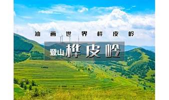 1日｜爬山虎•登山｜一幅油墨画の草原天路桦皮岭9公里徒步<初级强度>