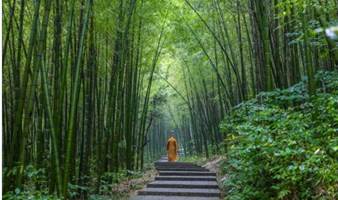 徒步湖州风车古道，探寻千年古刹，逛吃当地网红古镇（上海1日线）