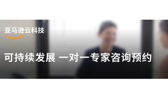 可持续发展 - 一对一专家咨询