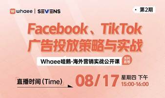 站外引流实战公开课：Facebook、TikTok、YouTube广告投放策略与实战