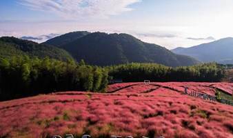 国庆假日丨9.30徒步宁波月宫山古道，赏梦幻粉色花海