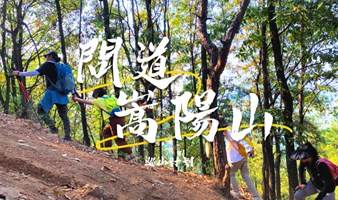 【巡山计划】10.14周六--问道嵩阳山，野路 绿道（全程10km左右，自驾集合）