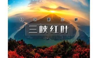 2日｜爬山虎•三峡红叶｜红叶醉三峡の从上帝视角俯瞰巴楚风韵