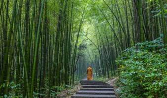 【周末】徒步湖州风车古道，探寻千年古刹，逛吃当地网红古镇（上海1日线）