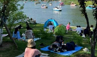 北京周末 l 朝阳公园 l 露营 · 野餐 · 认识新朋友