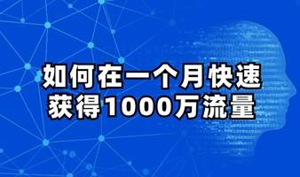 如何一个月快速获得1000万流量