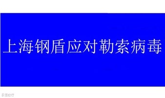 上海钢盾应对勒索病毒/网络安全的解决方案