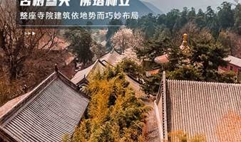 周末1日｜潭柘寺｜千年古银杏の千年古刹-佛塔林立-古树参天-北宫国家森林公园赏秋