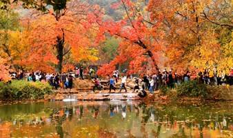 12月9日周六苏州五峰山到天平山爬山看枫叶