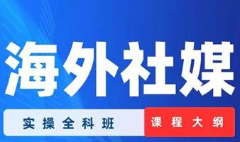 海外社交媒体 实操实战全科班