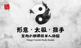 形意拳·太极拳·太极推手（室内）小班课程体验