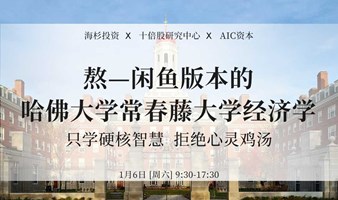 熬—闲鱼版本的哈佛大学常春藤大学经济学：只学硬核智慧，拒绝心灵鸡汤