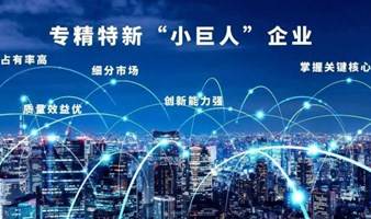 专精特新企业上市赋能“强基”系列专题培训暨专精特新企业资本赋能对接会 （第17期）