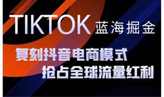 TikTok蓝海掘金出海交流会