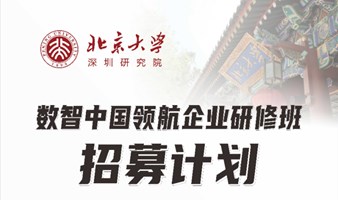 数智中国领航企业研修班