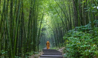 【周末】徒步湖州风车古道，探寻千年古刹，逛吃当地网红古镇（上海1日线）