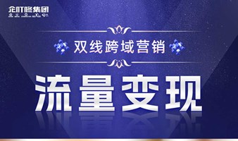 双线跨域营销《流量变现》总裁企业家董事长必修课