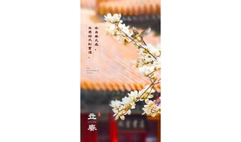 好花知时节之立春·梅花+亲子益智桌游