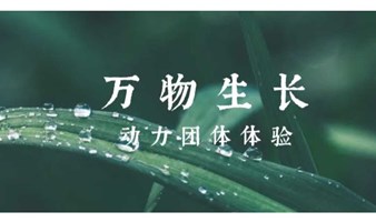 草木萌动，雨水先行 | 动力性成长团体招募