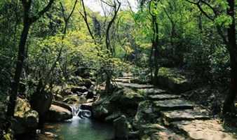 【周末】轻徒步宁波的小庐山，峡谷溪流戏水，探寻“江南的平遥古城”慈城古城（上海1天活动）