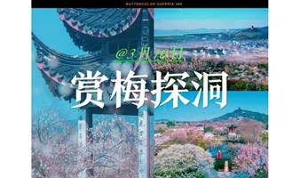 【3月10日】相约林屋洞梅海，赏梅探洞，漫步千年木渎古镇（87年-03年专场）