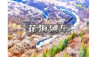 1日｜又见•花海列车｜开往春天的列车の枝花正盛-春光正好-长城内外-居庸关长城