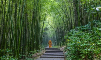 【周末】徒步湖州风车古道，探寻千年古刹，逛吃当地网红古镇（上海1日线）