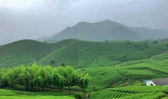 【周末】徒步中国十大古道之一的陆羽古道，看满山遍野的茶田风光（1天活动）