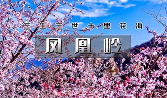 周末1日｜凤凰岭｜三生三世十里杏春花海の近郊登山赏花摄影一日休闲游