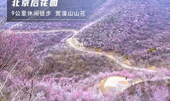 北京•后花园1日｜山花烂漫の燕平八景 休闲游or8-15KM徒步环穿