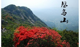 登鸬鸟山，赏山顶杜鹃花开成海，看漫山红遍（上海出发1天活动）