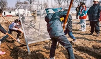 亲子植树 周末1日春日趣农耕 学习水稻育秧，彩绘纸鸢，田间寻宝，送大米红薯 志愿北京3小时