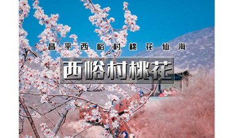 1日｜又见•西峪村桃花｜网红打卡西峪村-徒步桃花栈道赏漫山桃花（可徒步可休闲）