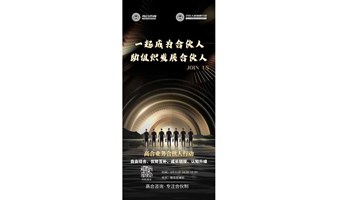 《高合业务合伙人行动计划》