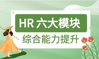 HR 六大模块综合能力提升