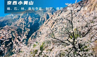 周末1日｜凤凰岭｜十里杏春花海の近郊登山赏花摄影一日休闲游