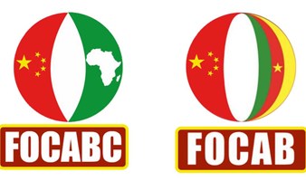 Preparatory meeting for the next editions of the China-Africa Business Cooperation Forum (FOCABC)/(F