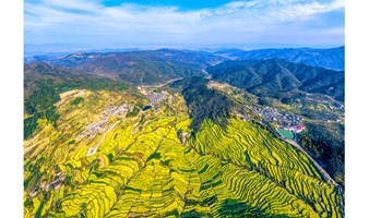 覆卮山踏春 游千年古村 攀冰川石浪 赏千亩油菜花梯田