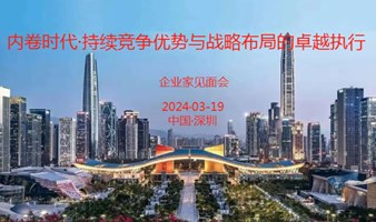 内卷时代·企业构筑持续竞争优势与战略布局的卓越执行