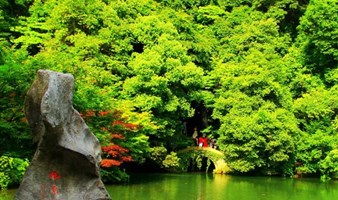 【假期-已成行】陌上花开，徒步郎当古道，探寻九溪十八涧，穿越龙井村网红唯美茶田（上海1日线）