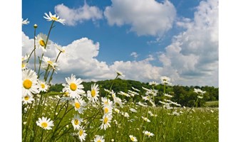 5月2日 ｜立夏节气疗愈沙龙