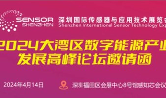 2024大湾区数字能源产业发展高峰论坛