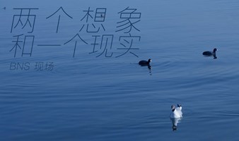 「两个想象和一个现实」BNS现场