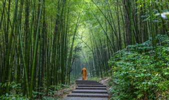 【假期】徒步湖州风车古道，探寻千年古刹，逛吃当地网红古镇（上海1日线）