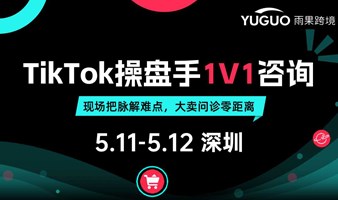 TikTok操盘手1V1咨询