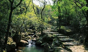 【周末】轻徒步宁波的小庐山，峡谷溪流戏水，探寻“江南的平遥古城”慈城古城（上海1天活动）