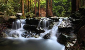 【周末】陌上花开，徒步郎当古道，探寻九溪十八涧，穿越龙井村网红唯美茶田（上海1日线）