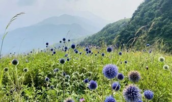 周末1日｜老龙窝｜穿林海走高山草甸の北京户外登山11公里环穿（中等强度）