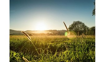 5月25日｜小满节气疗愈沙龙